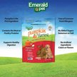 Show in main carousel: Emerald Pet Pumpkin Harvest Oven Baked with Apple Chicken-Free Dog Treats, 6-oz bag slide 3 of 10