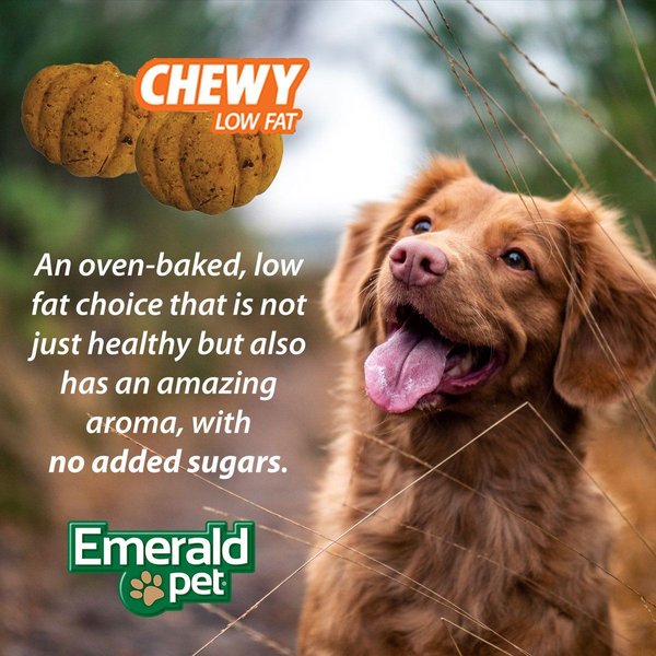 Show full view: Emerald Pet Pumpkin Harvest Oven Baked with Apple Chicken-Free Dog Treats, 6-oz bag slide 8 of 10