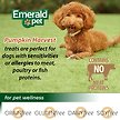 Show in main carousel: Emerald Pet Pumpkin Harvest Oven Baked with Apple Chicken-Free Dog Treats, 6-oz bag slide 9 of 10