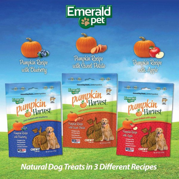 Show full view: Emerald Pet Pumpkin Harvest Oven Baked Pumpkin Recipe with Blueberry Chewy Dog Treats, 6-oz bag slide 5 of 8