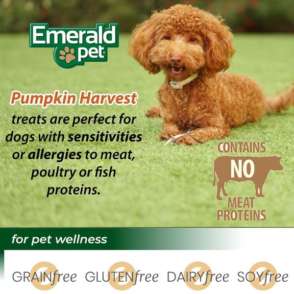 Show full view: Emerald Pet Pumpkin Harvest Oven Baked Pumpkin Recipe with Blueberry Chewy Dog Treats, 6-oz bag slide 7 of 8