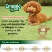 Show in main carousel: Emerald Pet Pumpkin Harvest Oven Baked Pumpkin Recipe with Blueberry Chewy Dog Treats, 6-oz bag slide 7 of 8