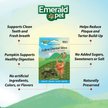 Show in main carousel: Emerald Pet Feline Dental Stixx Catnip Flavor with Pumpkin Grain-Free Dental Cat Treats, 3.6-oz bag slide 3 of 8
