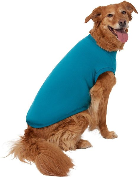 Show full view: Frisco Basic Dog & Cat T-Shirt, Dark Teal, X-Small slide 4 of 10