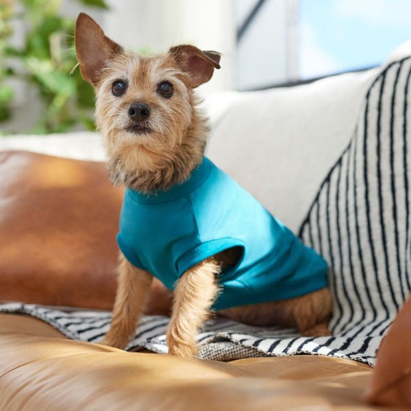 Show full view: Frisco Basic Dog & Cat T-Shirt, Dark Teal, X-Small slide 6 of 10