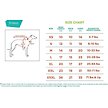 Show in main carousel: Frisco Basic Dog & Cat T-Shirt, Teal, XXX-Large slide 2 of 8