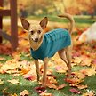 Show in main carousel: Frisco Dog & Cat Cable Knitted Sweater, Teal, X-Small slide 6 of 10