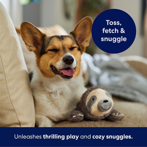 Show full view: Frisco Sloth Plush Squeaky Dog Toy, Medium slide 5 of 7