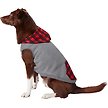 Show in main carousel: Frisco Plaid Dog & Cat Hoodie, Red Plaid, Large slide 3 of 10