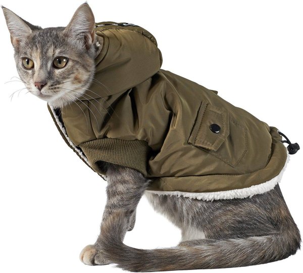 Show full view: Frisco Mid-Heavyweight Love Insulated Dog & Cat Coat, Olive, Small slide 3 of 7
