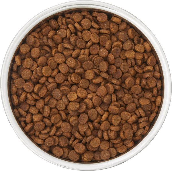 Show full view: Frisco Two-Toned Double Wall Insulated Dog & Cat Bowl, Mint, 6 cup, 1 count slide 5 of 9