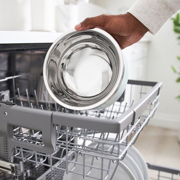 Show full view: Frisco Two-Toned Double Wall Insulated Dog & Cat Bowl, Mint, 6 cup, 1 count slide 6 of 9