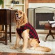 Show in main carousel: Frisco Ultra Lightweight Plaid Dog & Cat Fleece Vest, Red Plaid, Small slide 7 of 7