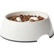 Show in main carousel: Frisco Melamine Slow Feed Dog & Cat Bowl with Gold Trim, Cream, 3 Cup slide 4 of 10