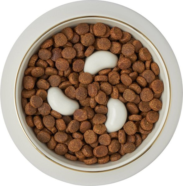 Show full view: Frisco Melamine Slow Feed Dog & Cat Bowl with Gold Trim, Cream, 3 Cup slide 6 of 10