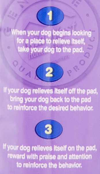 Show full view: MidWest Dry Paws Training & Floor Protection Pads, 7 count slide 4 of 6