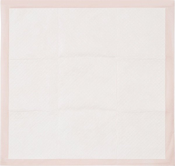 Show full view: MidWest Dry Paws Training & Floor Protection Pads, 7 count slide 5 of 6