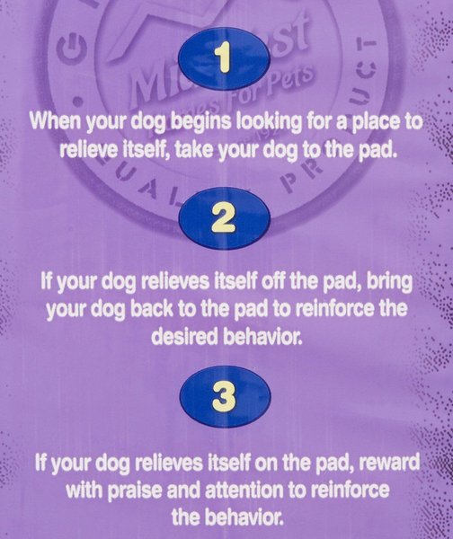 Show full view: MidWest Dry Paws Training & Floor Protection Pads, 30 count slide 4 of 6