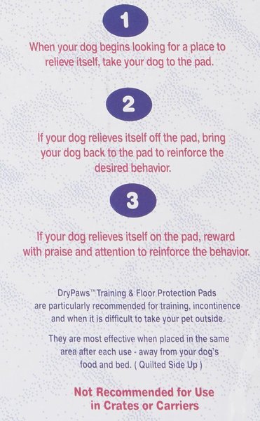 Show full view: MidWest Dry Paws Training & Floor Protection Pads, 100 count slide 4 of 6