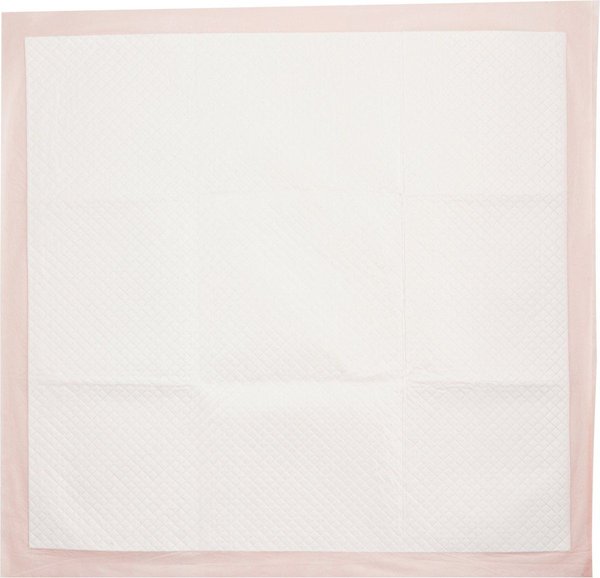 Show full view: MidWest Dry Paws Training & Floor Protection Pads, Large, 14 count slide 4 of 5