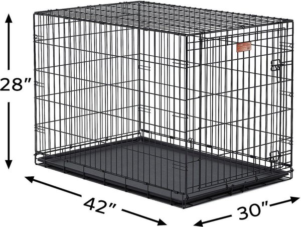 Show full view: MidWest iCrate Fold & Carry Single Door Collapsible Wire Dog Crate, 42-in slide 9 of 10