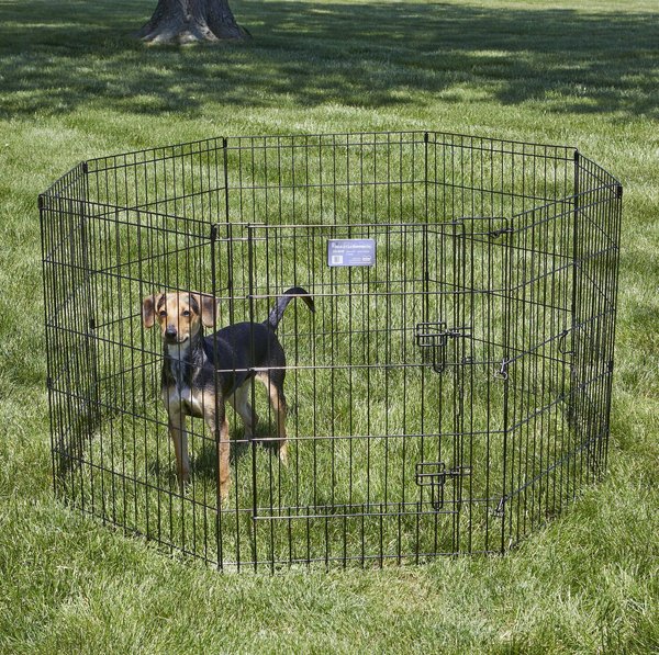 Show full view: MidWest Wire Dog Exercise Pen with Step-Thru Door, Black E-Coat, 30-in slide 4 of 10