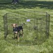 Show in main carousel: MidWest Wire Dog Exercise Pen with Step-Thru Door, Black E-Coat, 30-in slide 4 of 10