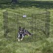 Show in main carousel: MidWest Wire Dog Exercise Pen with Step-Thru Door, Black E-Coat, 36-in slide 4 of 10