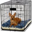 Show in main carousel: MidWest Quiet Time Fleece Reversible Dog Crate Mat, Blue Paw Print, 30-in slide 2 of 5