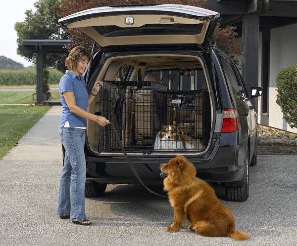 Show full view: MidWest Solutions Series Side by Side Double Door Collapsible SUV Dog Crate, 42-in slide 5 of 7