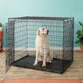 MidWest Solutions Series XX-Large Heavy Duty Double Door Wire Dog Crate, 54-in