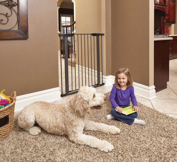 Show full view: MidWest Steel Pet Gate, Graphite, 39-in slide 4 of 7