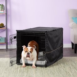 MidWest iCrate Double Door Collapsible Wire Dog Crate Kit, Black, 36-in