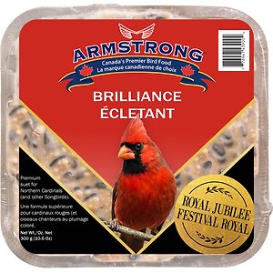 Bird Seed Armstrong Wild Bird Food Black Oil Sunflower Chips, 20 Bird Feed