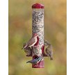 Show in main carousel: More Birds Seed Tube Wild Bird Feeder slide 2 of 2