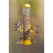 Show in main carousel: More Birds Thistle Tube Wild Bird Feeder slide 2 of 2