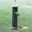 Show in main carousel: Perky Pet Sunflower Screen Wild Bird Feeder slide 2 of 2