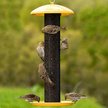 Show in main carousel: Perky Pet Finch Screen Wild Bird Feeder slide 2 of 2
