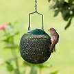 Show in main carousel: Perky Pet Seed Ball Screen Wild Bird Feeder slide 3 of 4