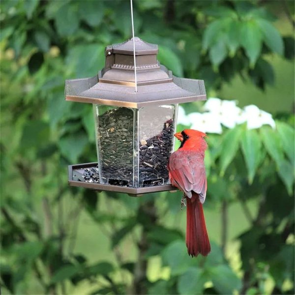 Show full view: More Birds Lantern Seed Wild Bird Feeder, Small slide 4 of 4