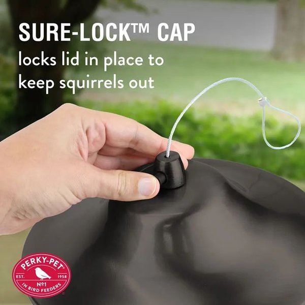 Show full view: Perky Pet Copper Panorama Seed Wild Bird Feeder slide 3 of 5