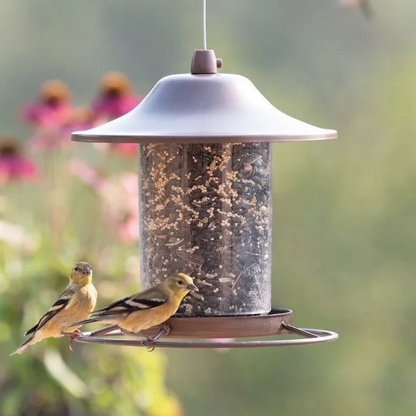 Show full view: Perky Pet Copper Panorama Seed Wild Bird Feeder slide 4 of 5