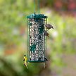 Show in main carousel: Perky Pet Squirrel Stumper Seed Wild Bird Feeder slide 2 of 6
