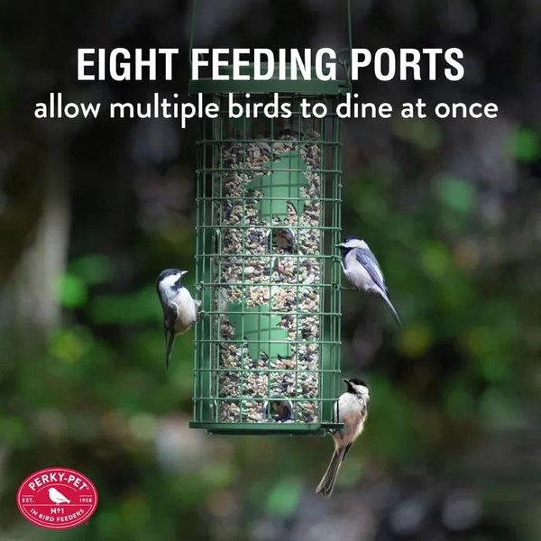 Show full view: Perky Pet Squirrel Stumper Seed Wild Bird Feeder slide 5 of 6