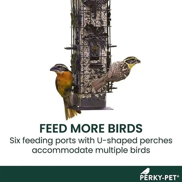 Show full view: Perky Pet Squirrel Be-Gone Wild Bird Feeder slide 4 of 6