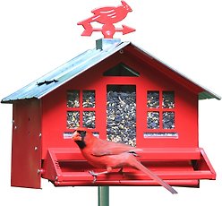 Perky Pet Squirrel Be-Gone II Wild Bird Feeder