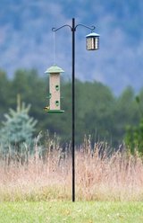 More Birds Double Hanger Wild Bird Feeder Pole, 78-inch