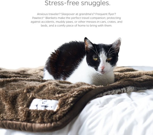 Show full view: Pet Parents Pawtect Blanket Waterproof Premium Dog & Cat Blanket, Slate, Small slide 5 of 10
