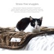 Show in main carousel: Pet Parents Pawtect Blanket Waterproof Premium Dog & Cat Blanket, Slate, Large slide 5 of 10