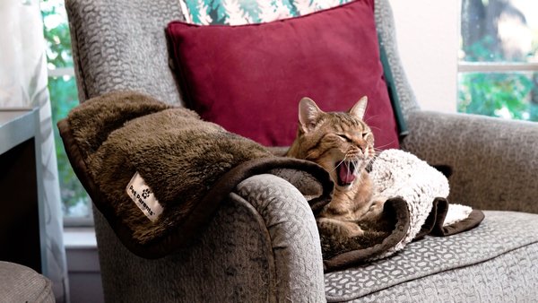 Show full view: Pet Parents Pawtect Blanket Waterproof Premium Dog & Cat Blanket, Chocolate, Small slide 9 of 10